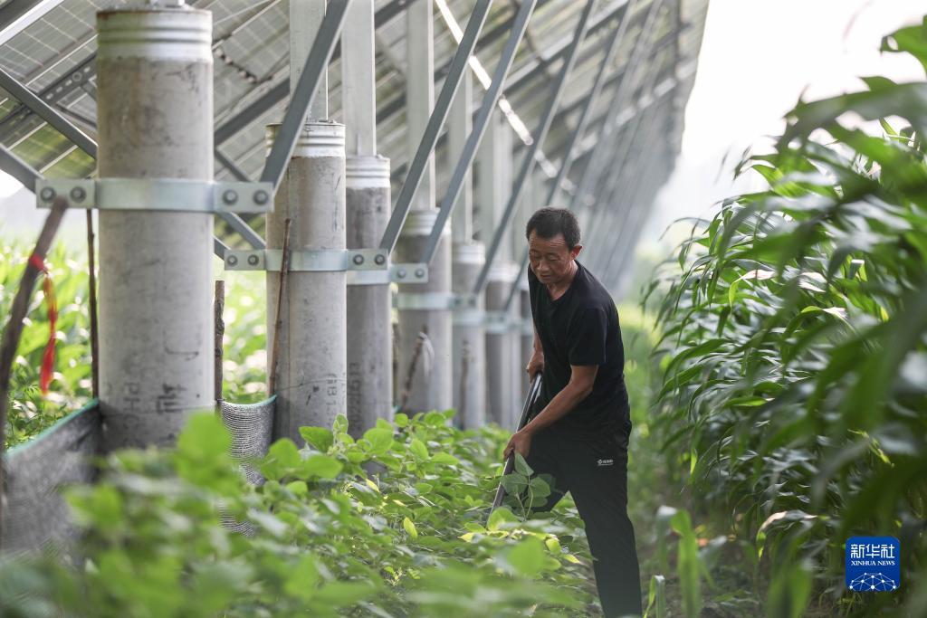 澳门门户网站